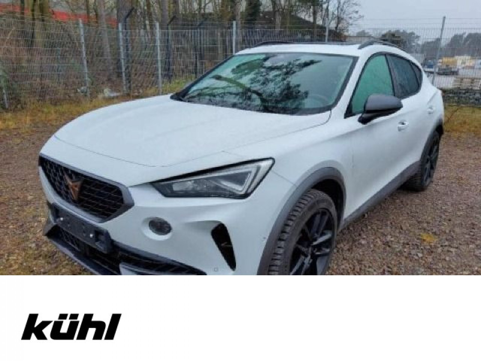 Formentor 2.0 TSI 4Drive DSG LED ACC Navi AHK
