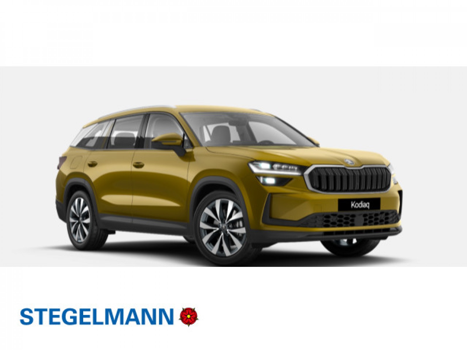Kodiaq 2.0 TDI DSG Selection AREA VIEW 360°*Matrix*AHK*19Zoll
