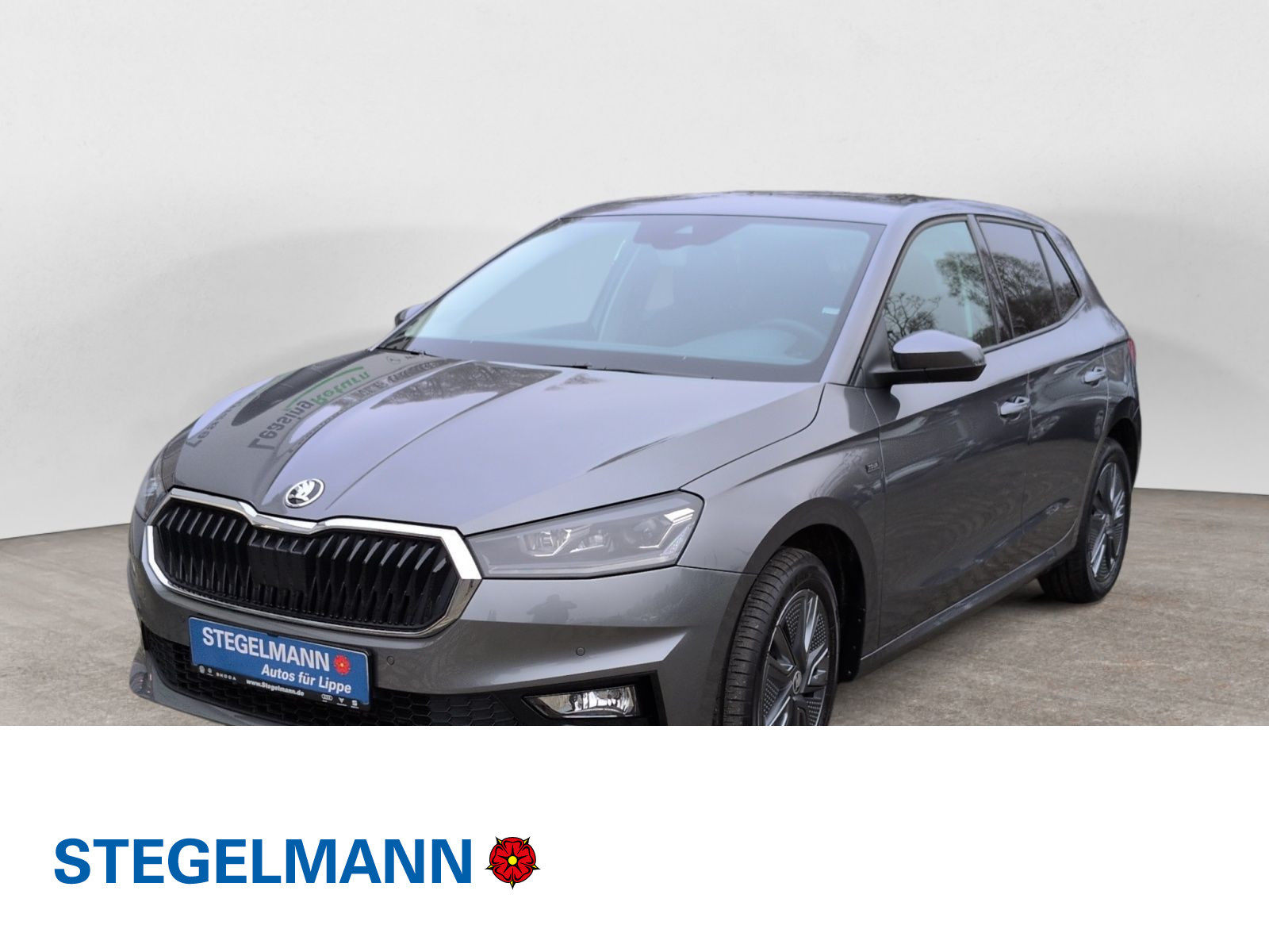 diagonal-frontansicht-aussen