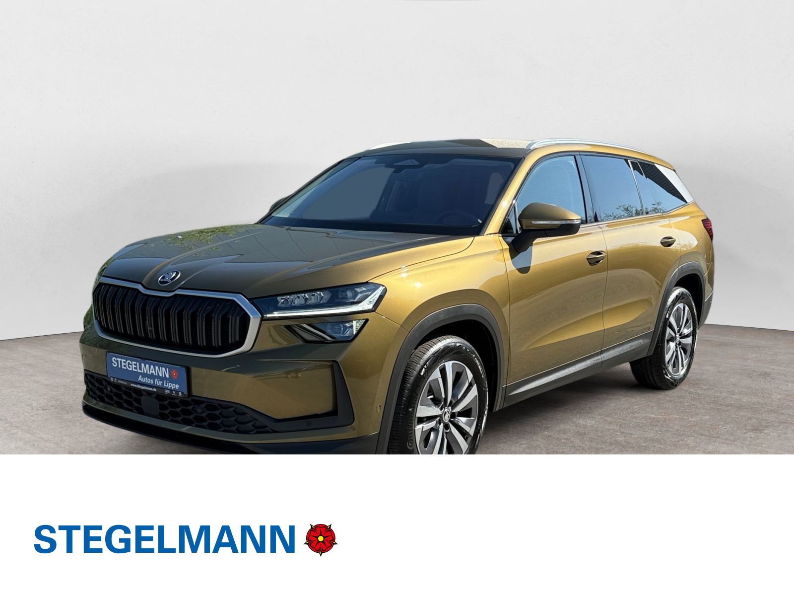 Kodiaq 2.0 TDI 4x4 DSG Selection AHK*Matrix*Soundpaket