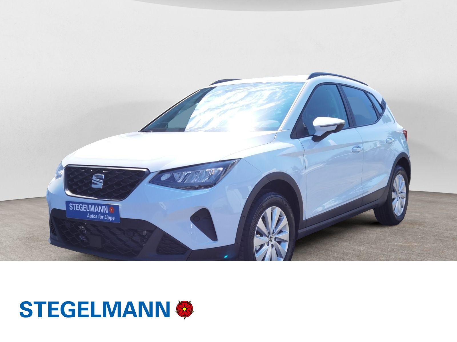 Arona 1.0 TSI DSG Style *LED*Navi*Kamera*