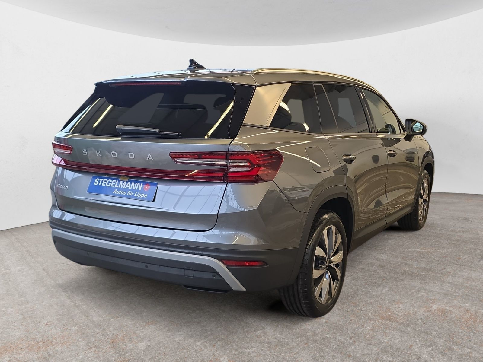 diagonalansicht-hinten-aussen