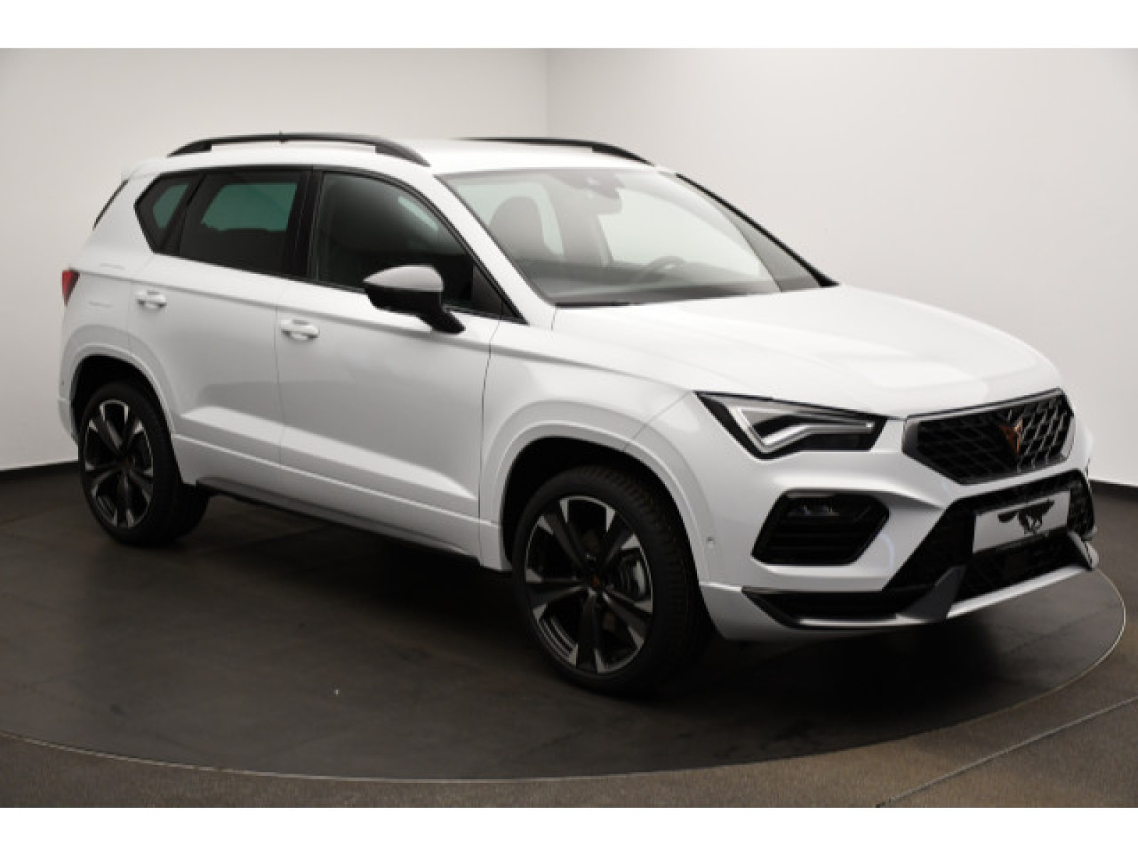 diagonal-frontansicht-aussen