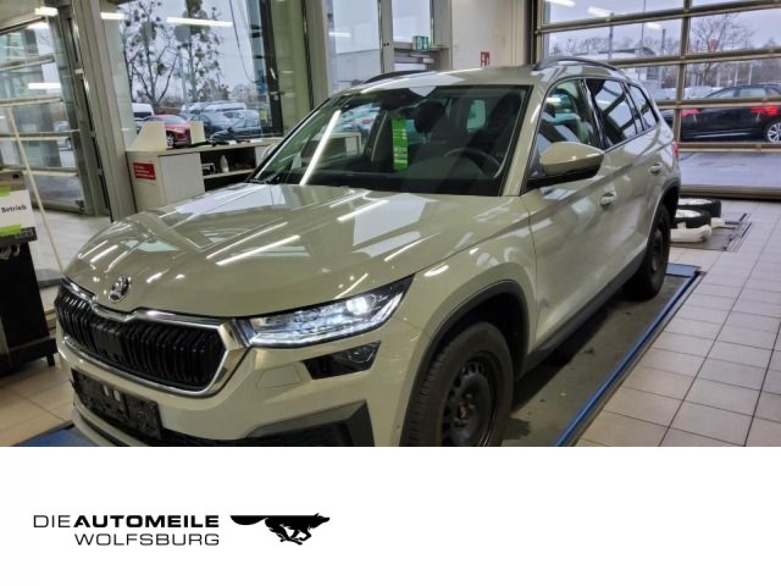 Kodiaq 2,0 TDI DSG Tour ACC/Einparkhi/Multilenk