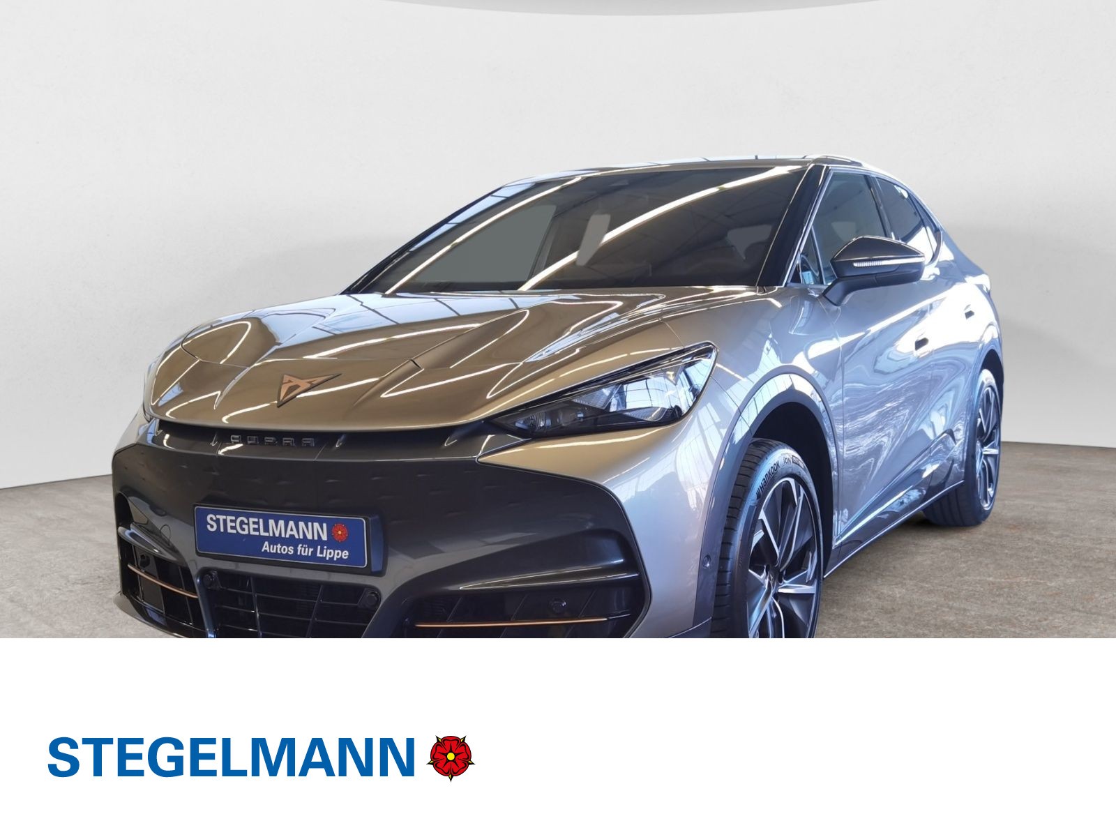 Tavascan VZ 4Drive Wärmepumpe 77kWh