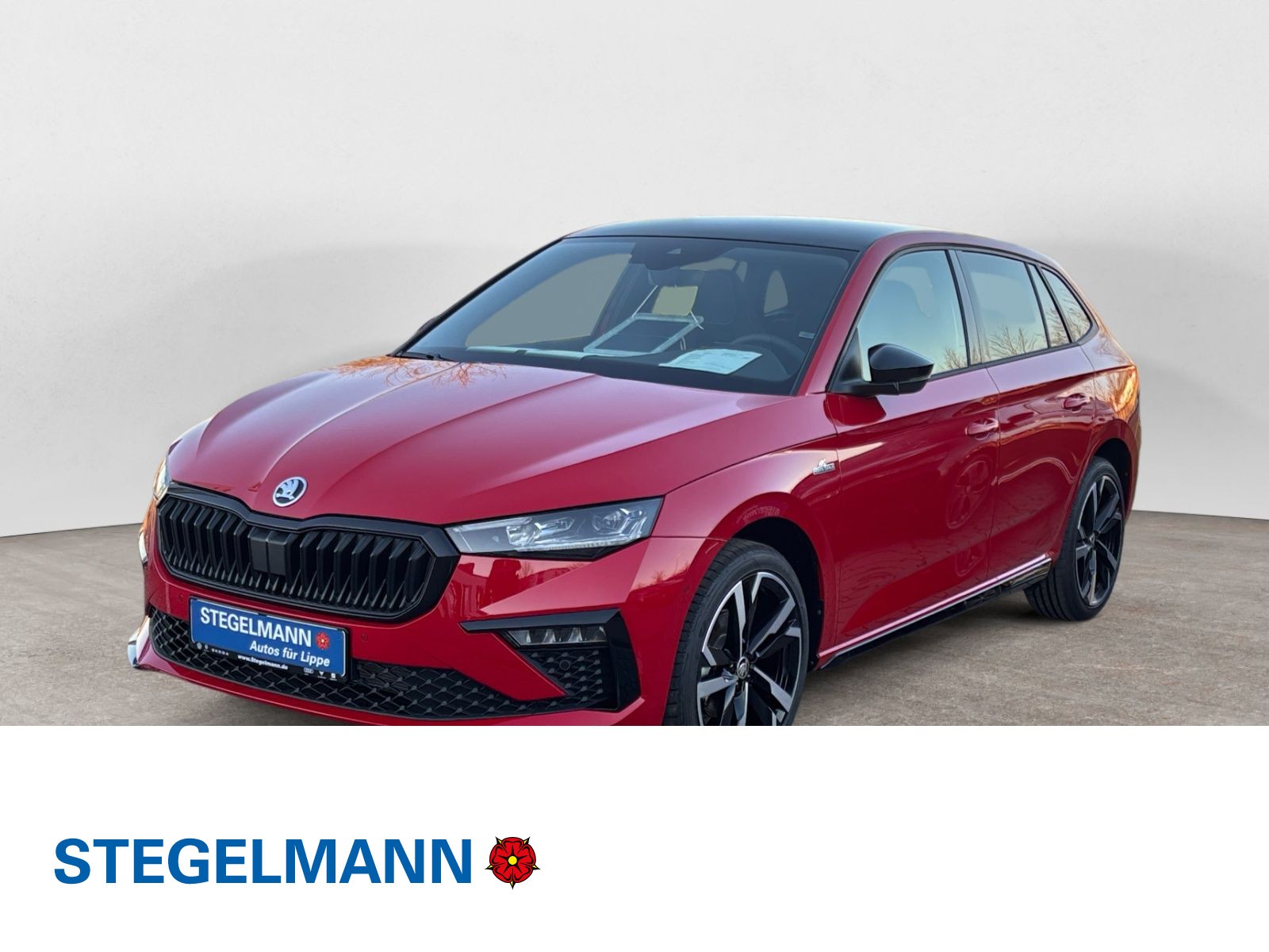 Scala 1.5 TSI DSG Monte Carlo