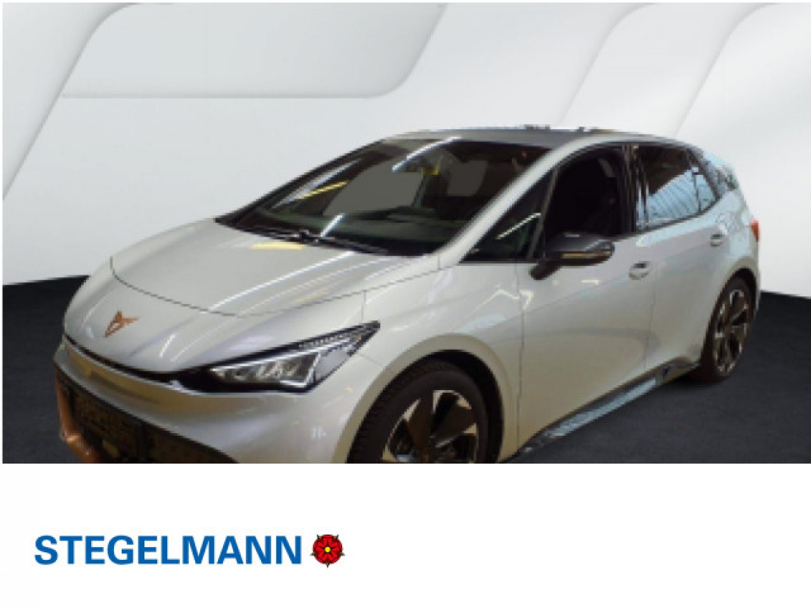 Born 170kW/77kWh *LED*Navi*Kamera*