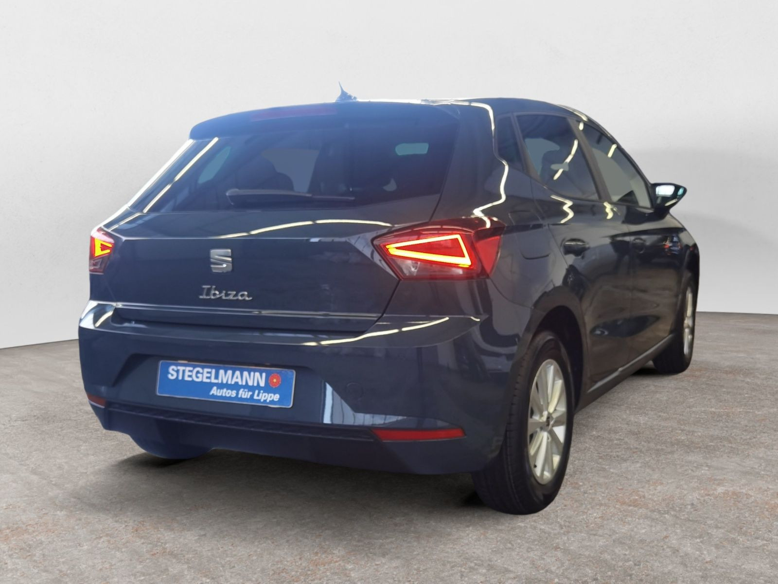 diagonalansicht-hinten-aussen