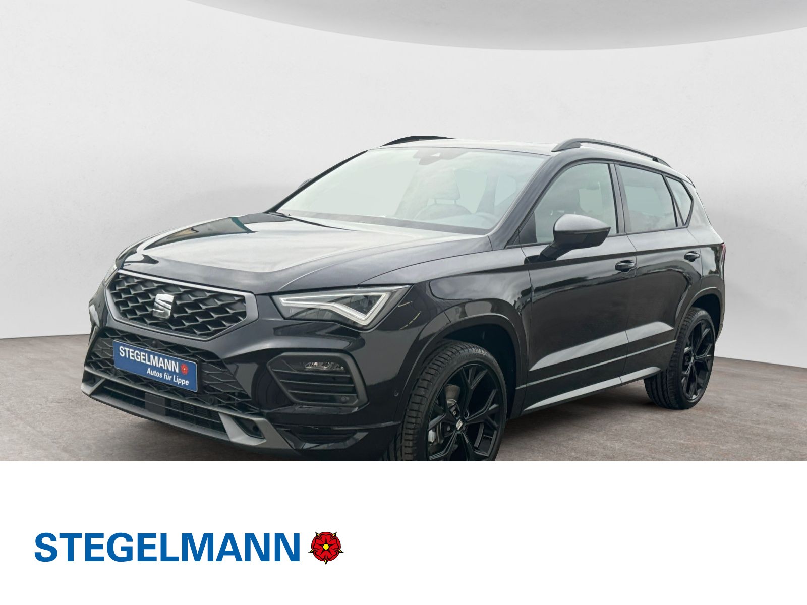 ATECA FR 2.0 TDI DSG AHK Pano Navi LED Kamera Beats el. Heckklappe top View