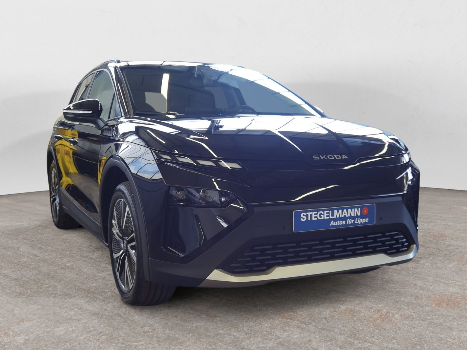 diagonal-frontansicht-aussen