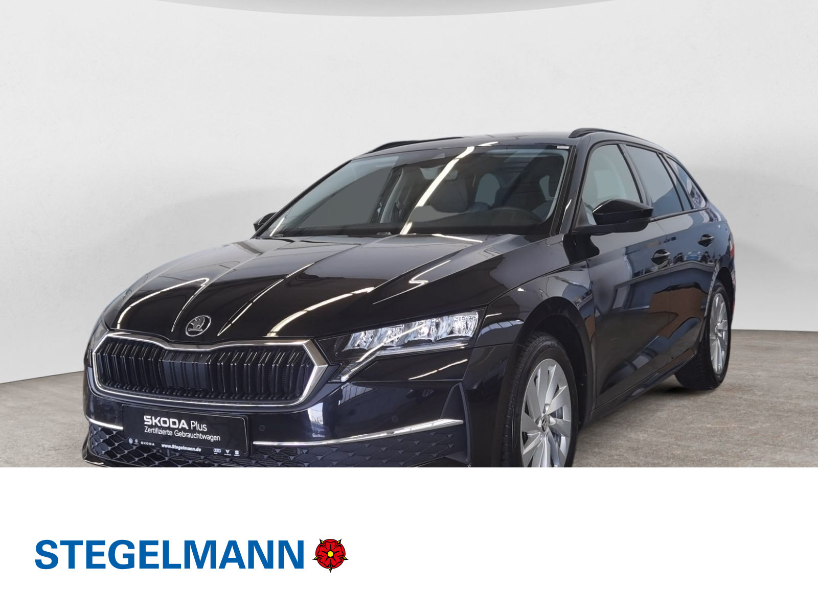 diagonal-frontansicht-aussen