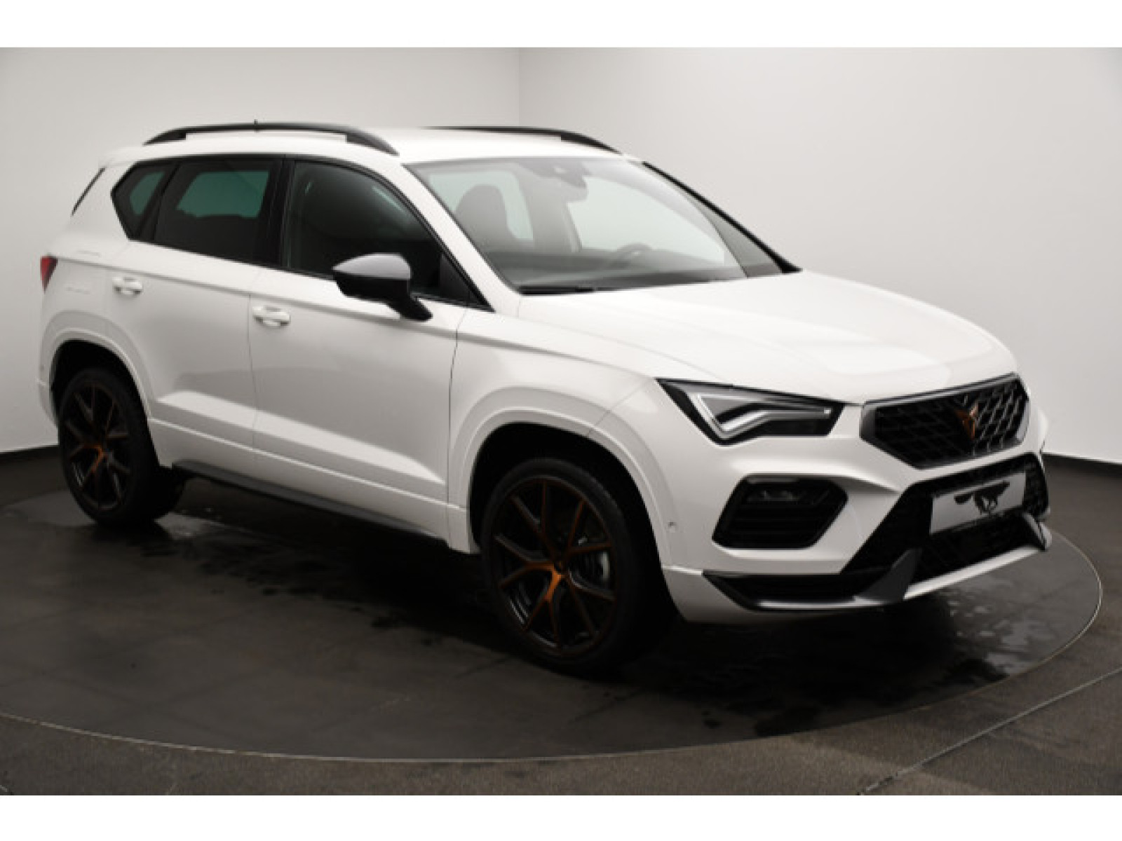 diagonal-frontansicht-aussen