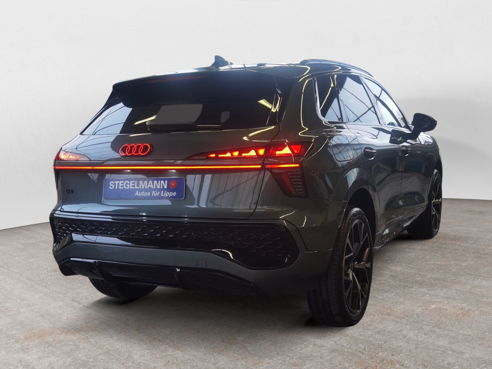 diagonalansicht-hinten-aussen