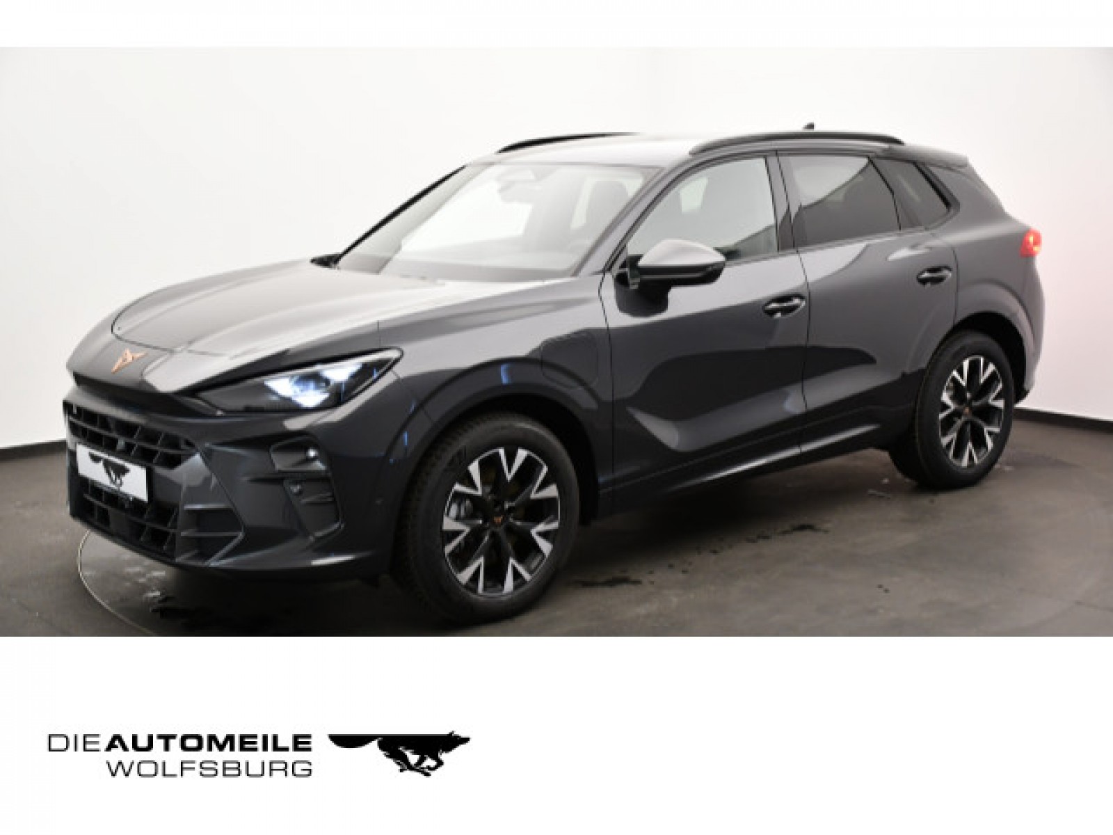 Terramar 1.5 e-Hybrid DSG