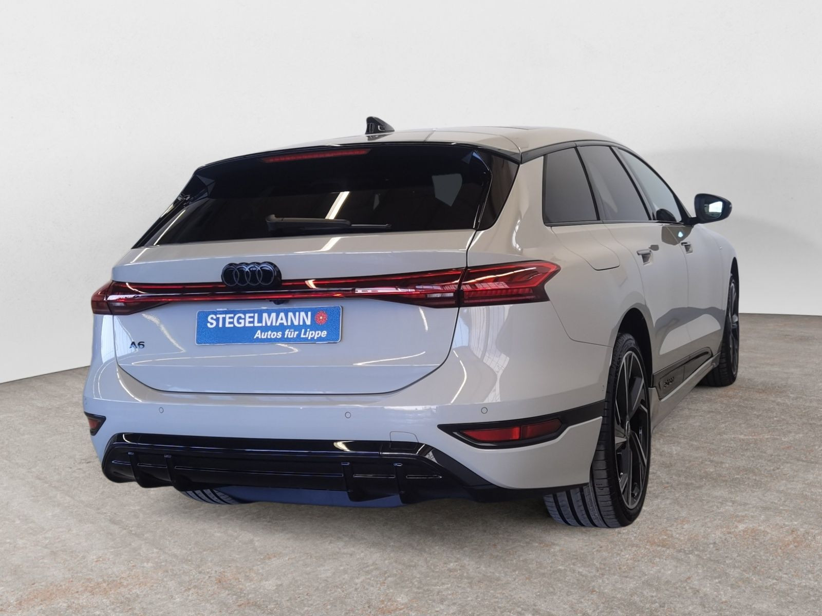 diagonalansicht-hinten-aussen