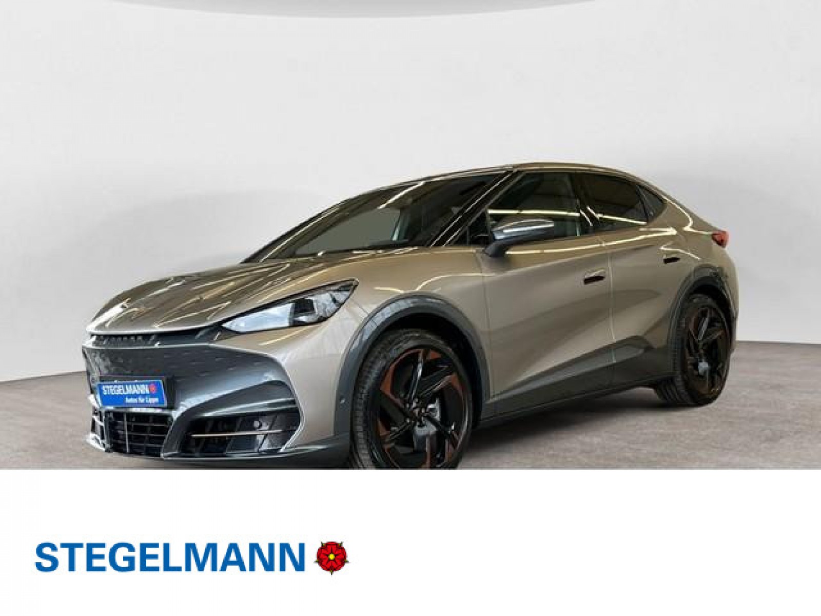 Tavascan VZ 4Drive 250kW/77kWh Adrenaline-Pack *Wärmepumpe*