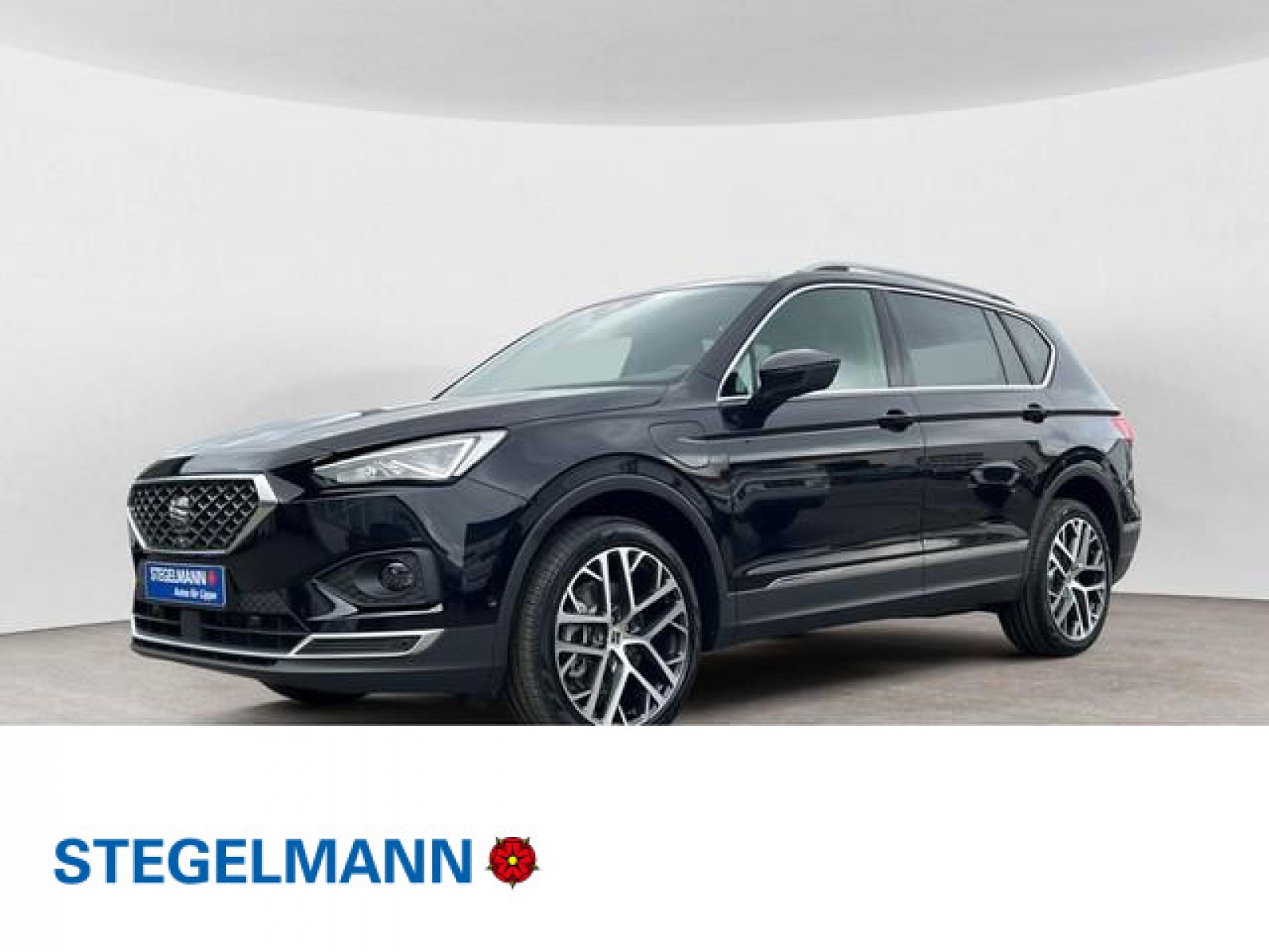 TARRACO XPERIENCE 1.4 e-HYBRID AHK Glasdach top view Kamera DCC 20"