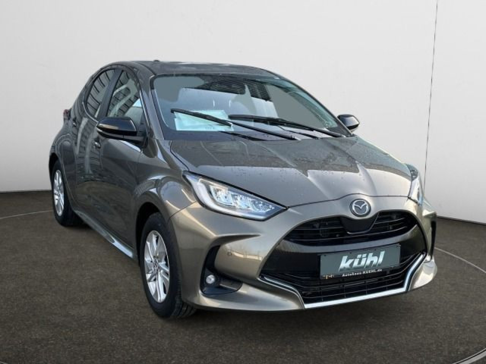 diagonal-frontansicht-aussen