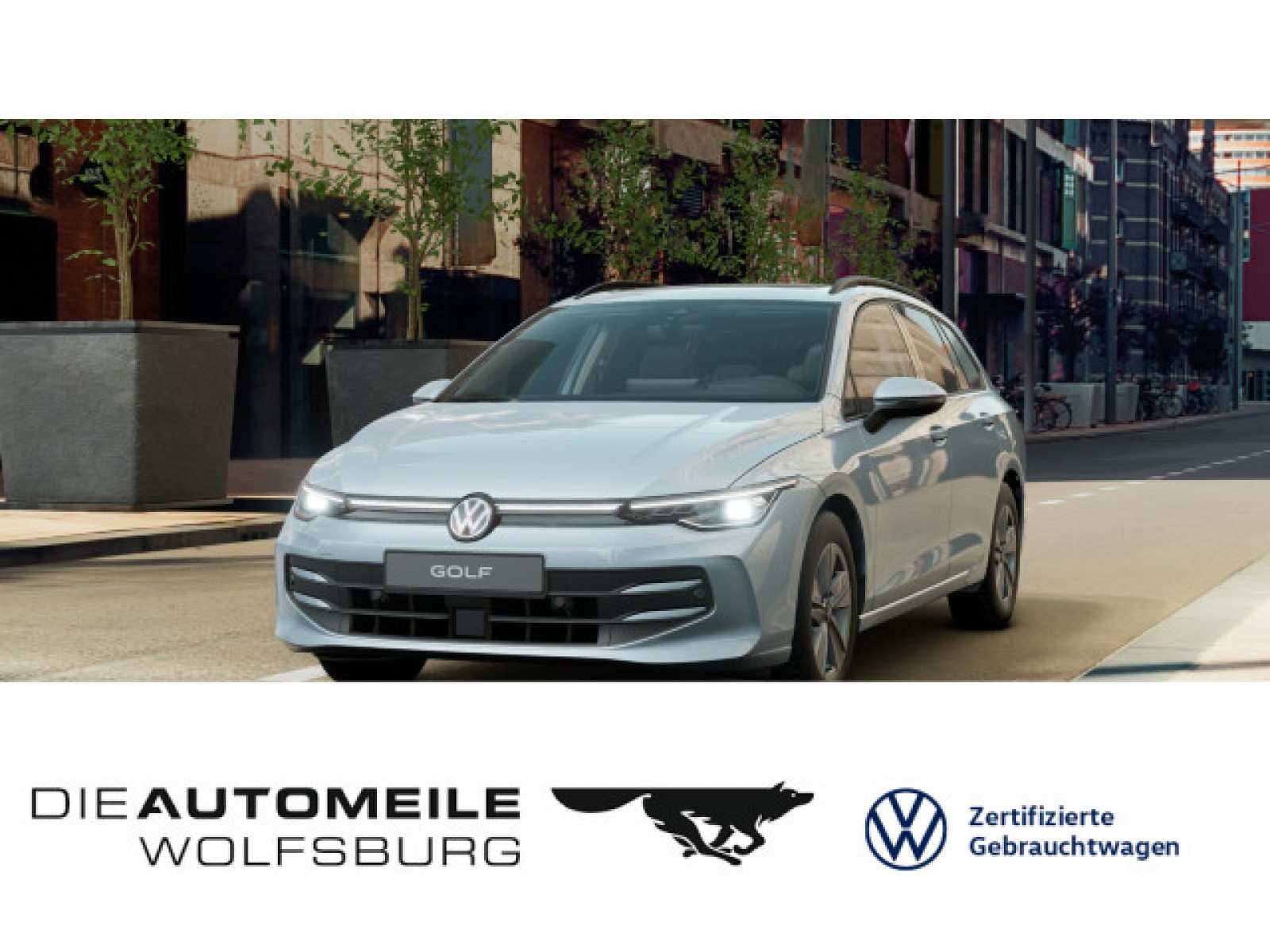 Golf 8 VIII Variant 2.0 TDI Life HeadUp/Pano/LED+/AHK