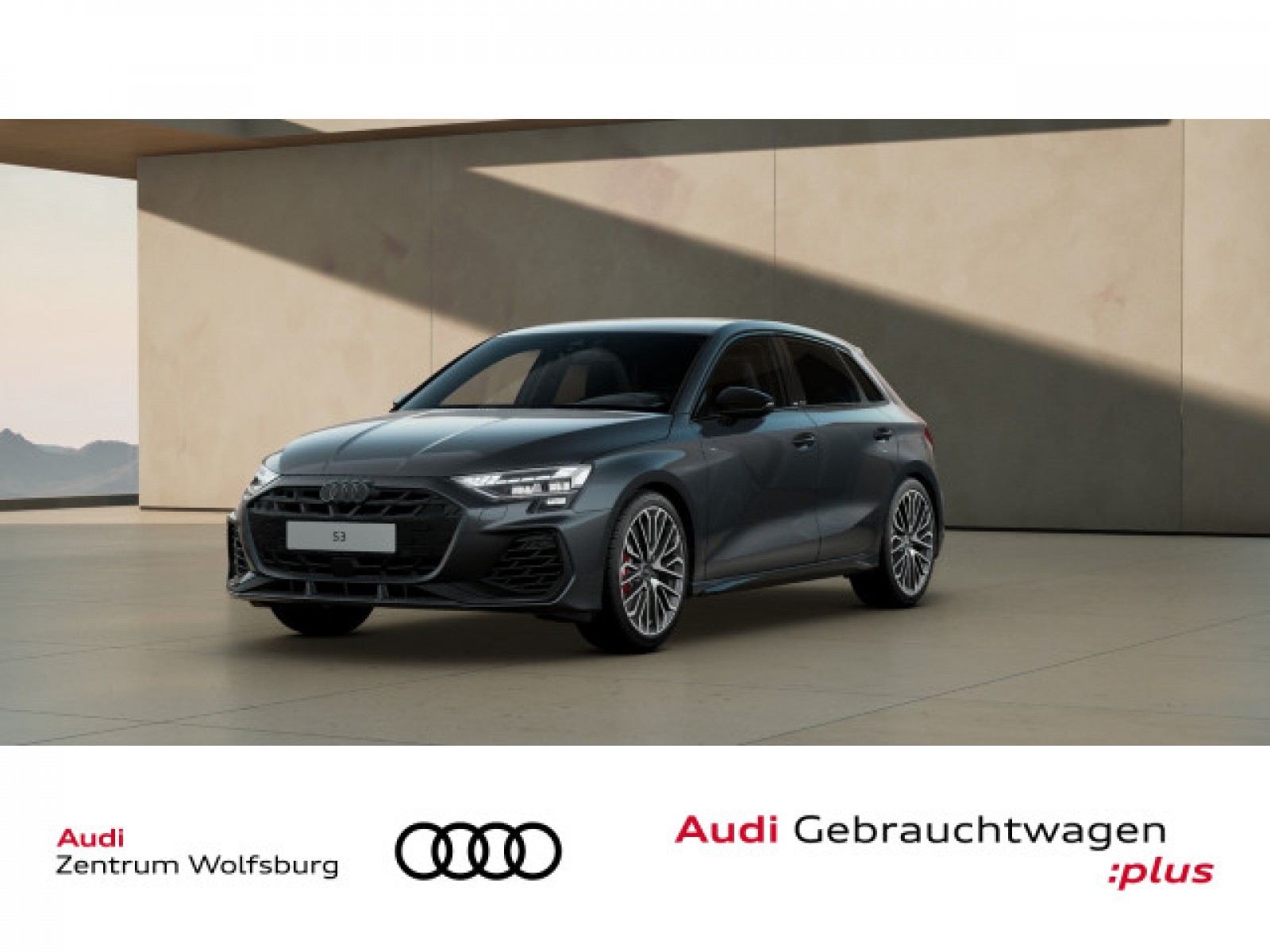 S3 Sportback TFSI quattro S tronic Matrix/Leder