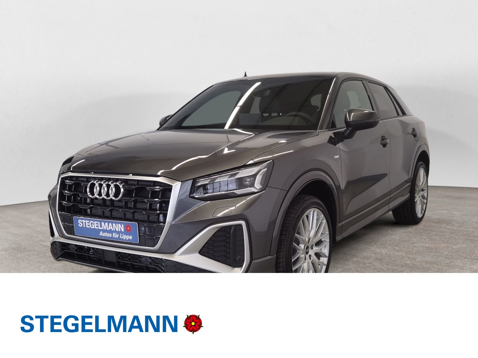 Q2 S line 35 TFSI S tronic MATRIX AHK PANO ACC