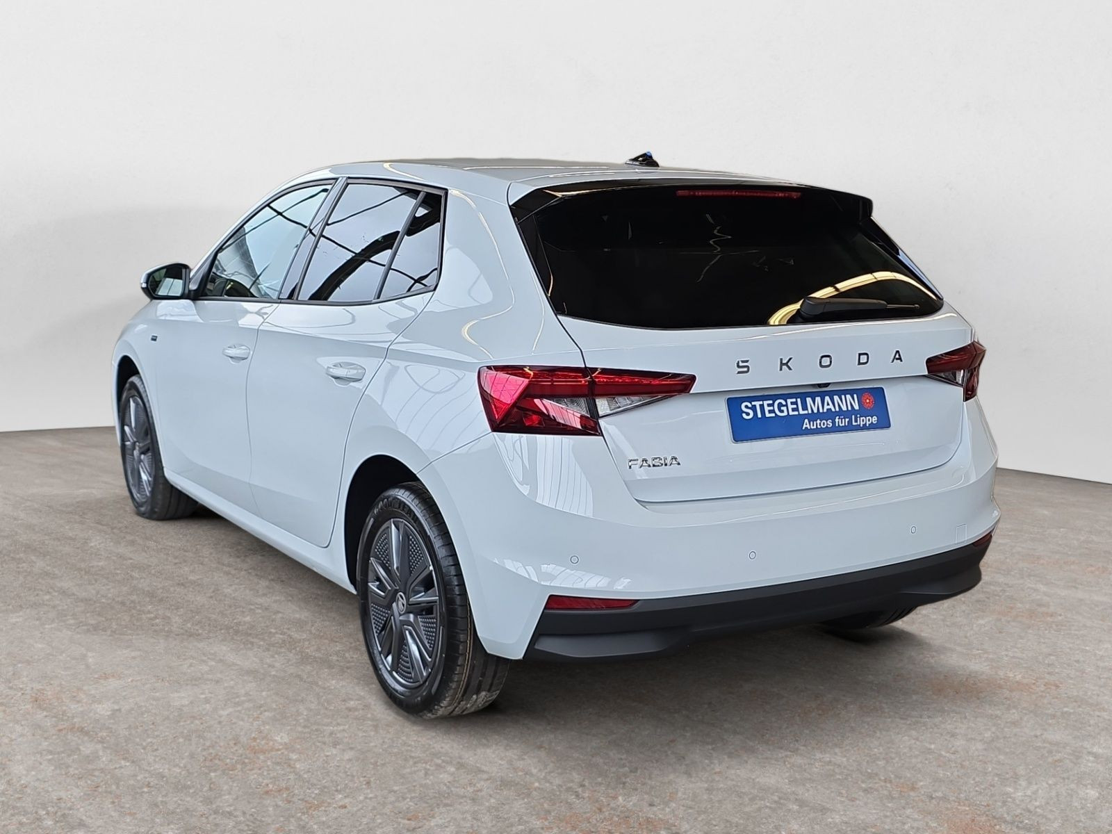 diagonalansicht-hinten-aussen