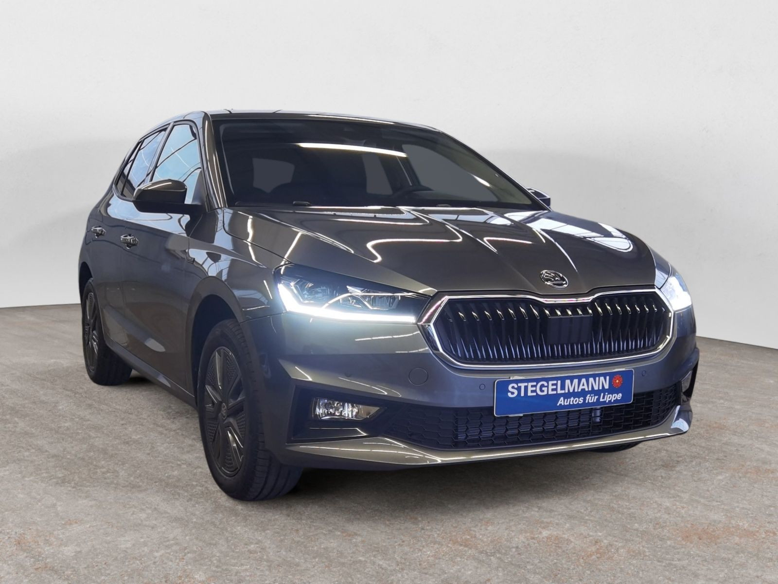 diagonal-frontansicht-aussen