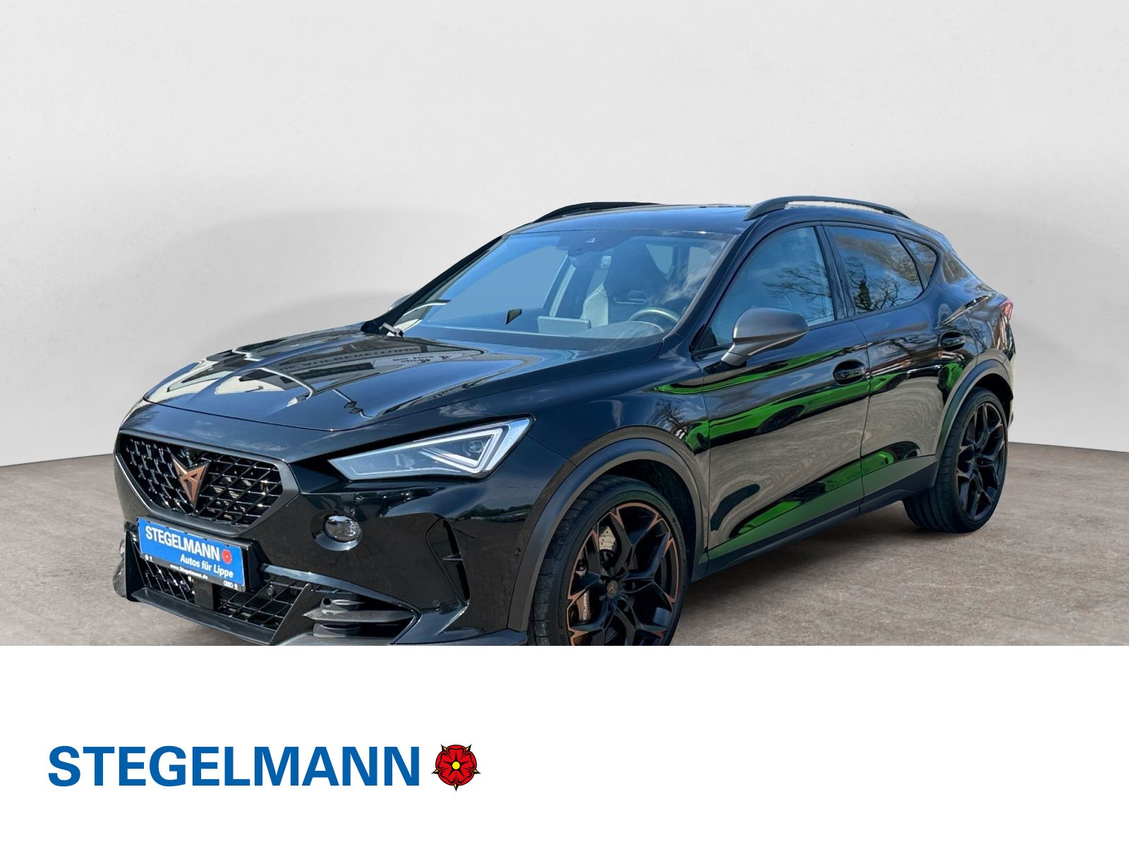 Formentor 2.0 TSI VZ5 4Drive Pano*Lederpaket*Beats