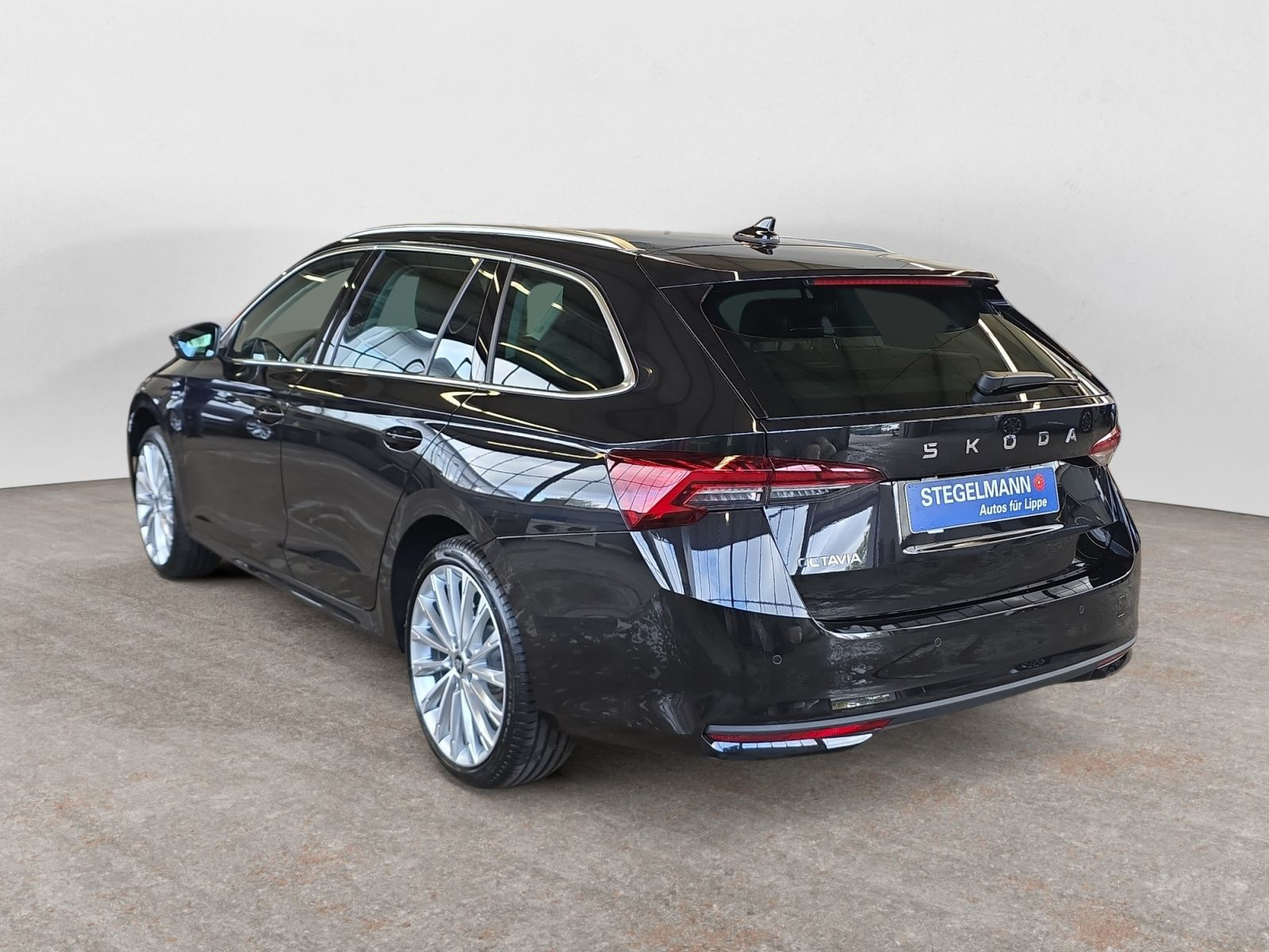 diagonalansicht-hinten-aussen