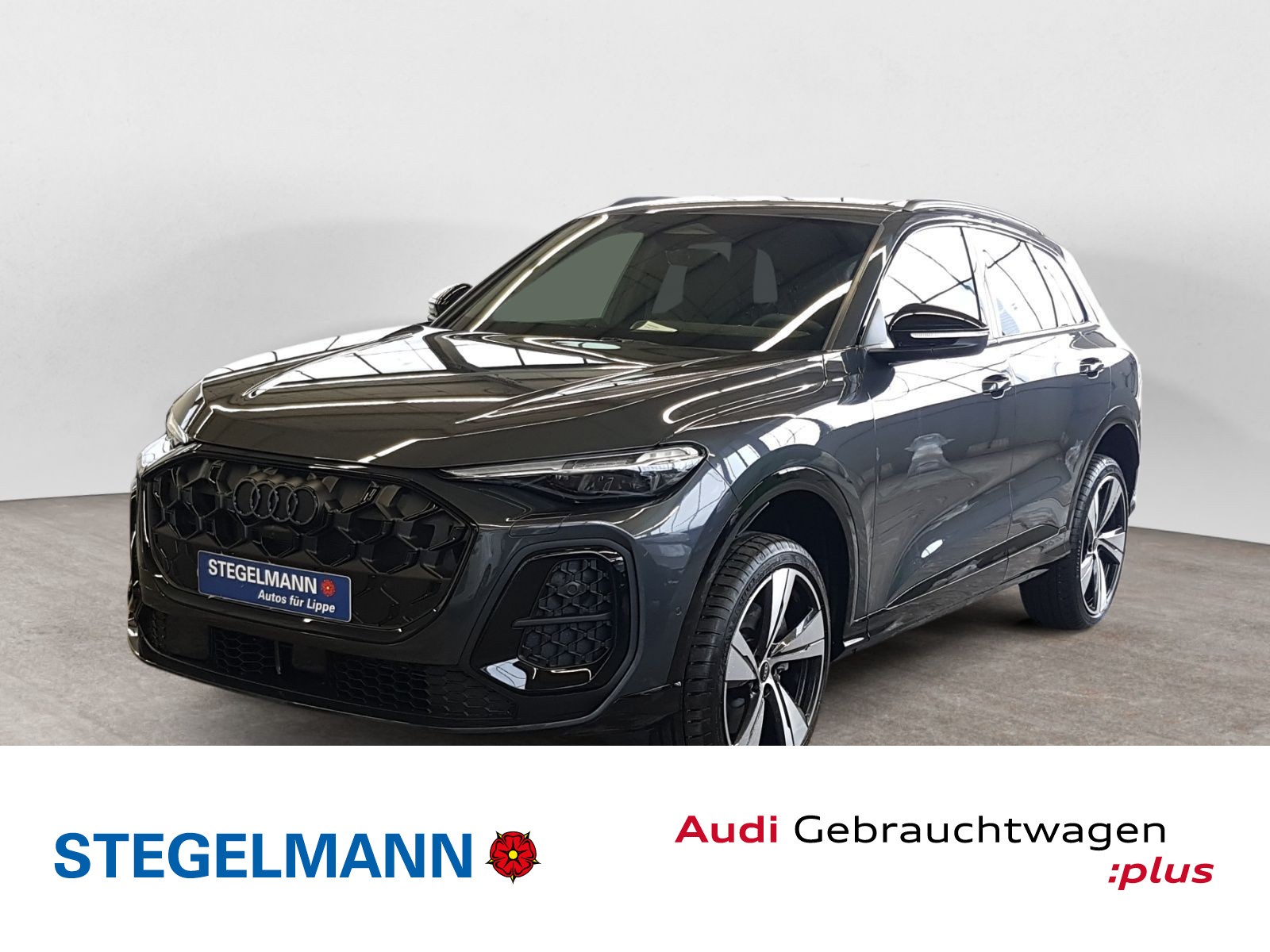 Q5 SUV TDI quattro S tronic MATRIX OLED 360° LUFTFAHRWERK