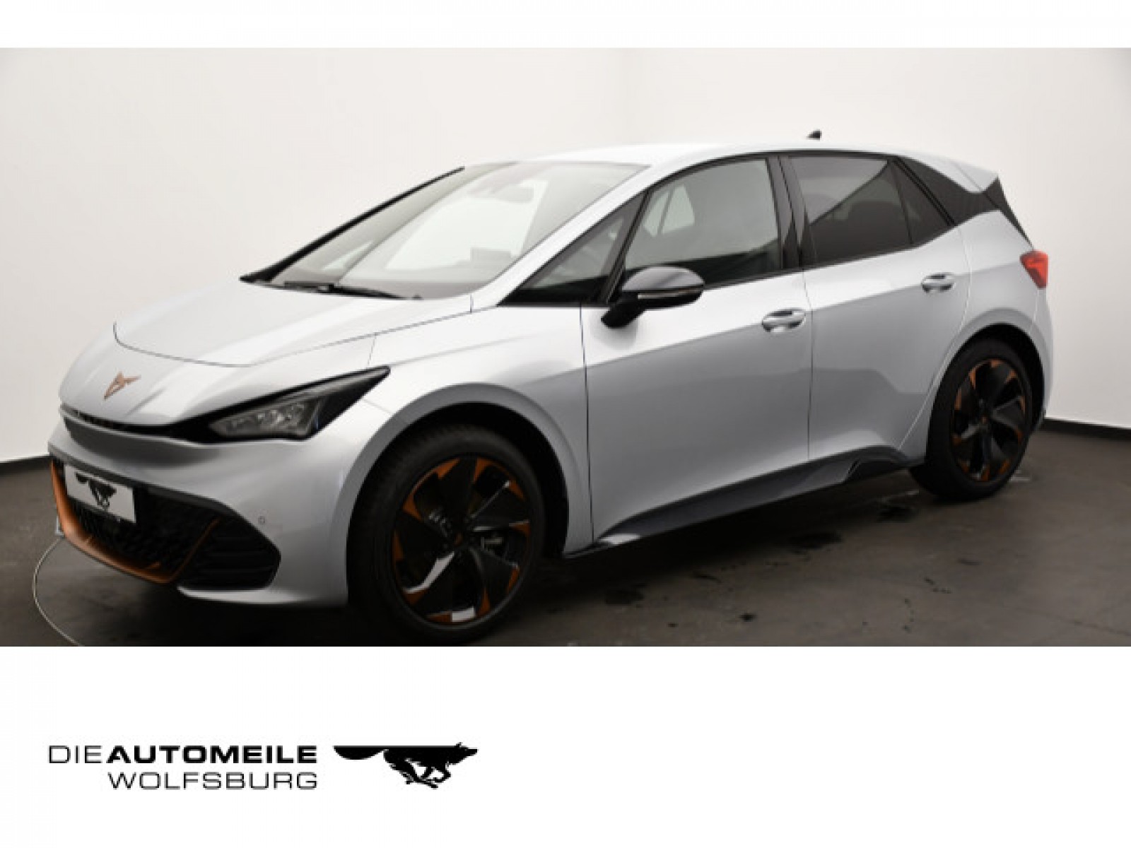 Born Edition Dynamic