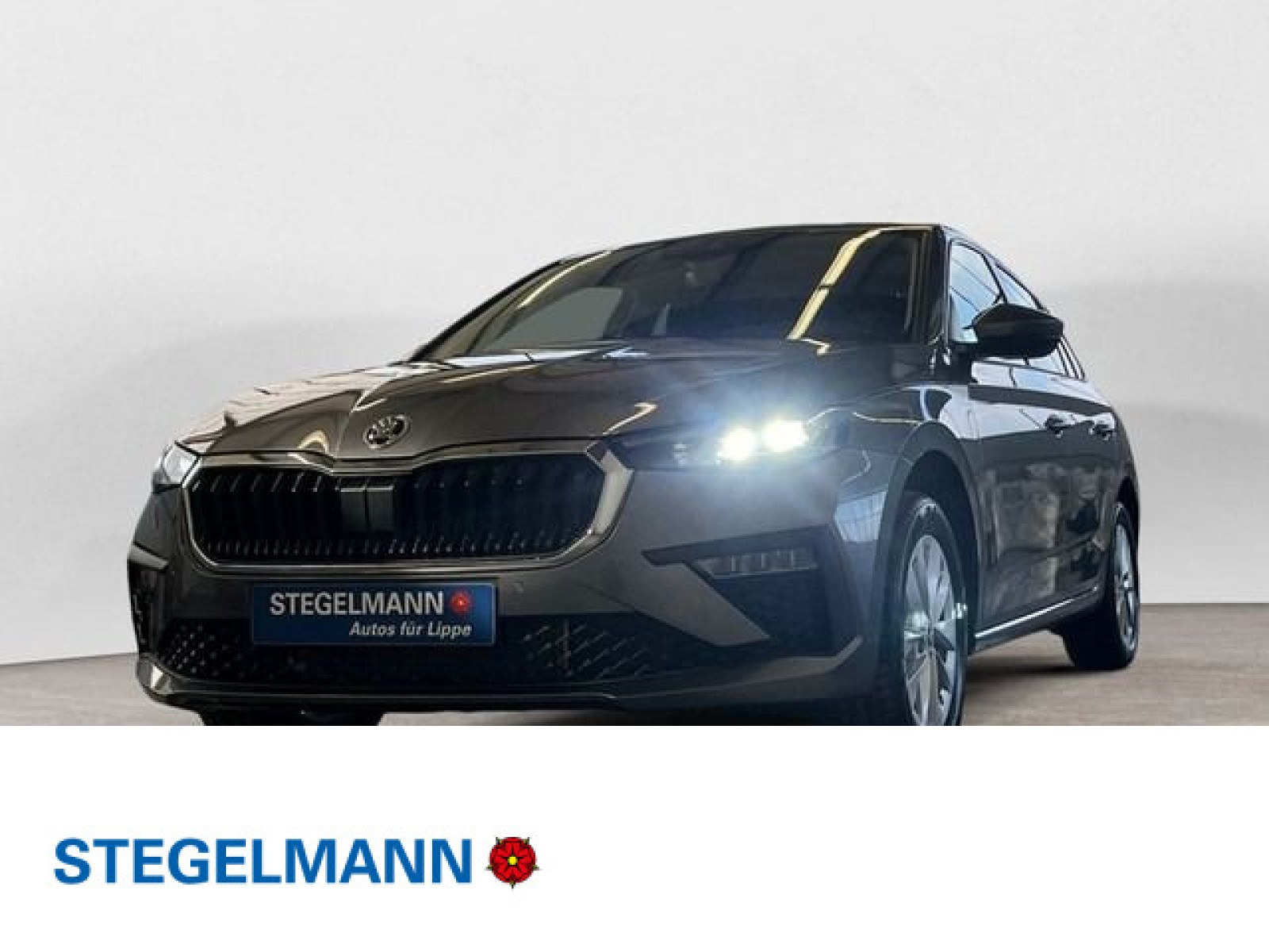 diagonal-frontansicht-aussen