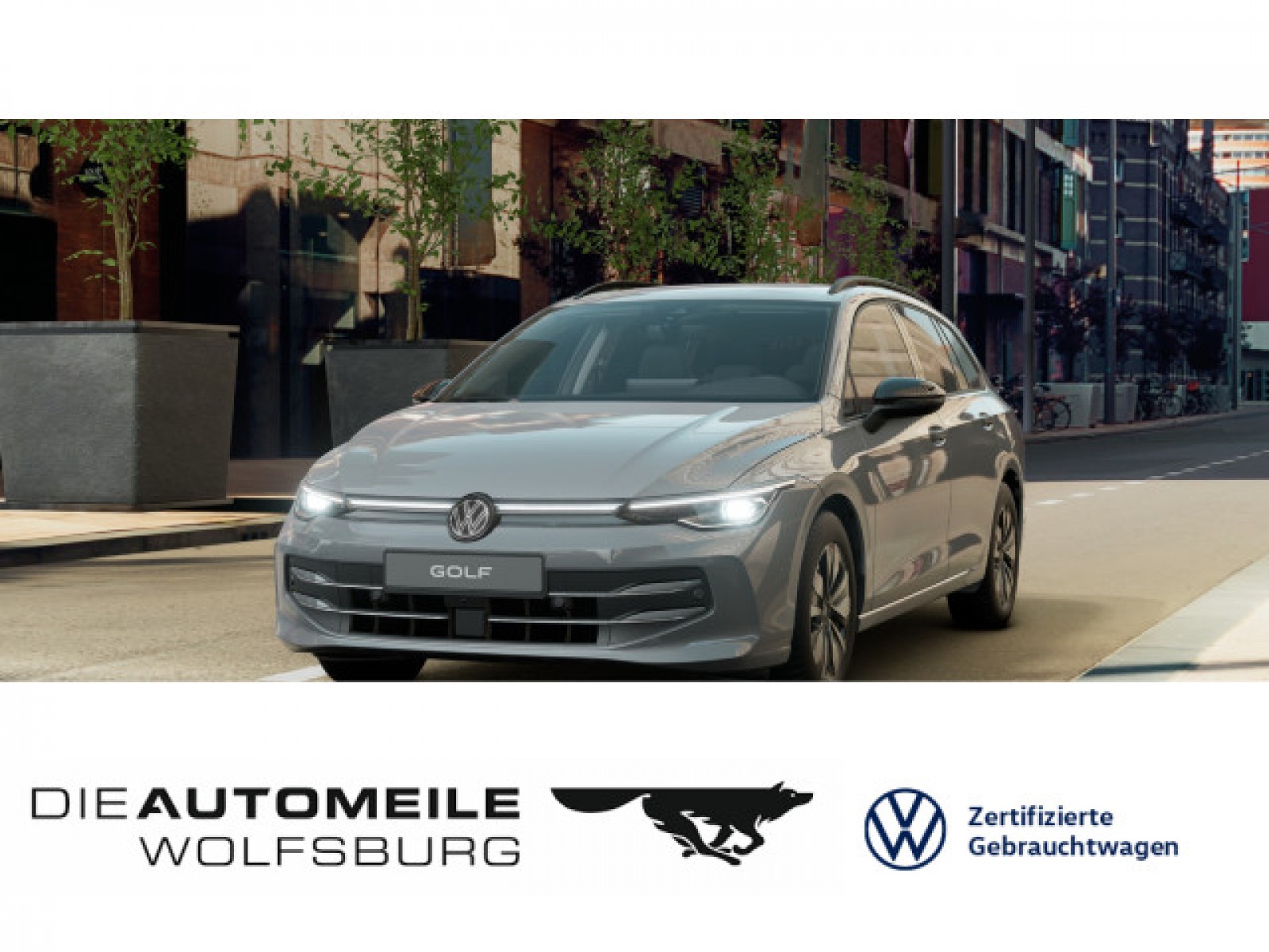 Golf 8 VIII Variant 2.0 TDI DSG Goal Matrix/AHK/ACC