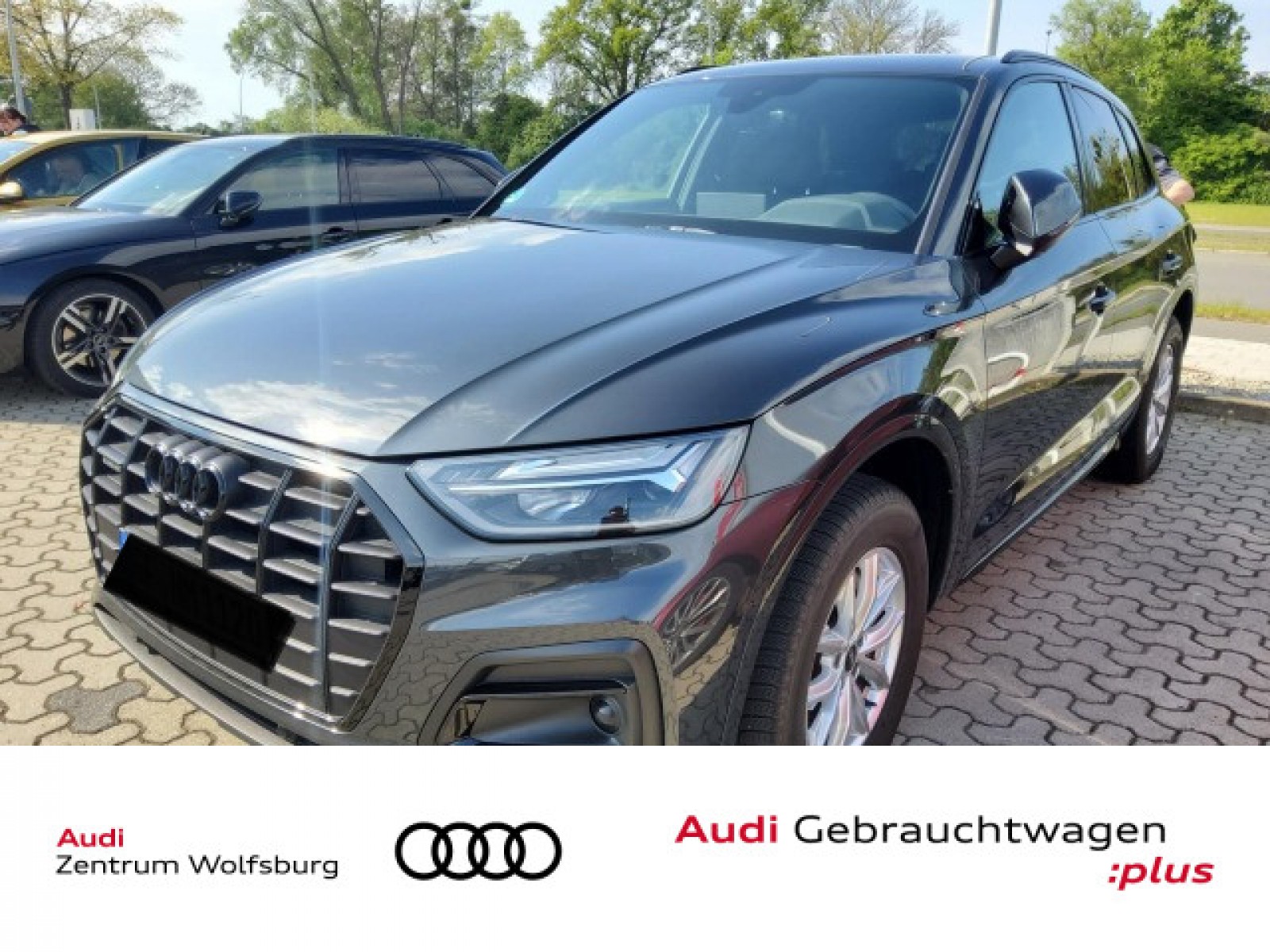 Q5 40 2.0 TDI S-tronic quattro advanced Standhzg/AHK/Rückkam