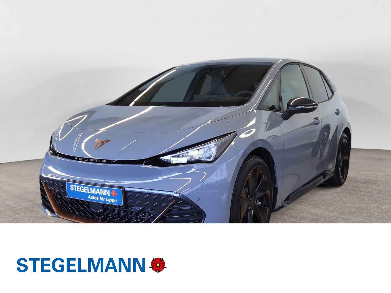Born Edition Dynamic Navi LED Kamera 60kWh
