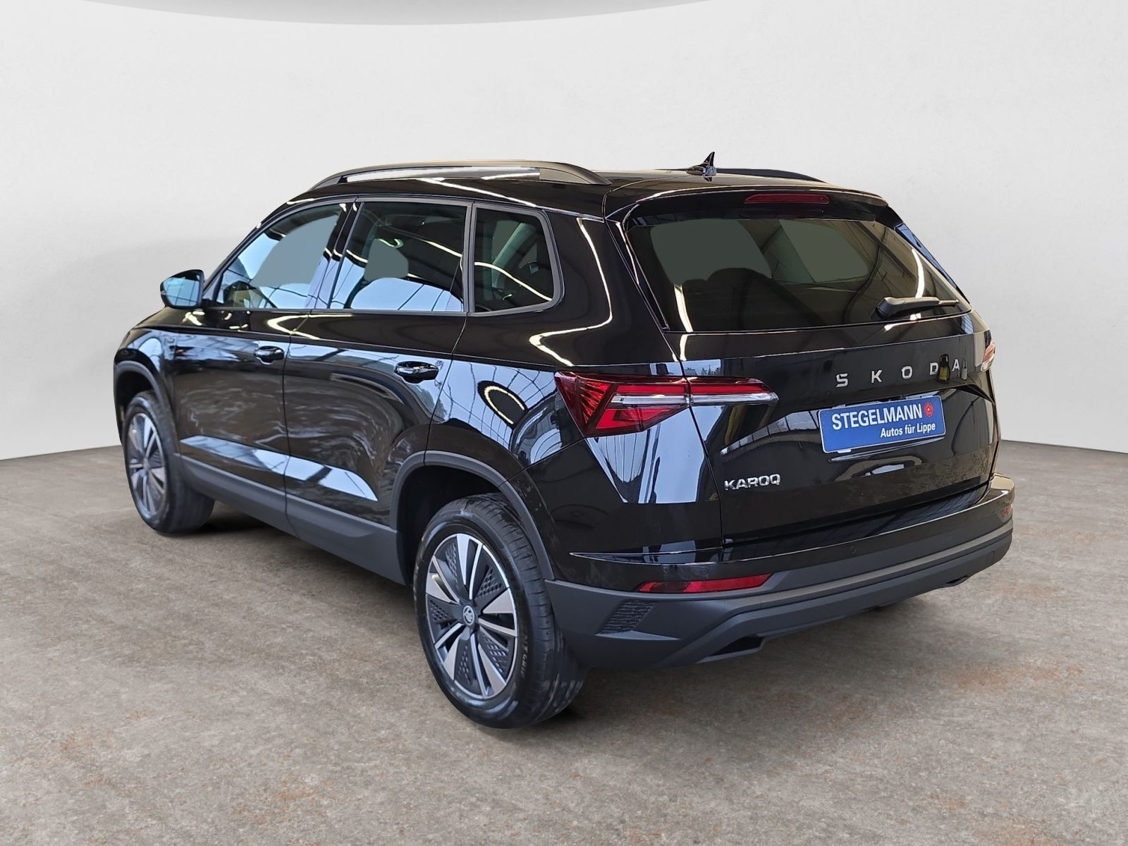 diagonalansicht-hinten-aussen