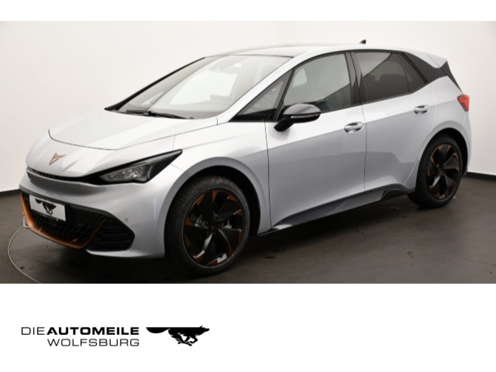 Born Edition Dynamic