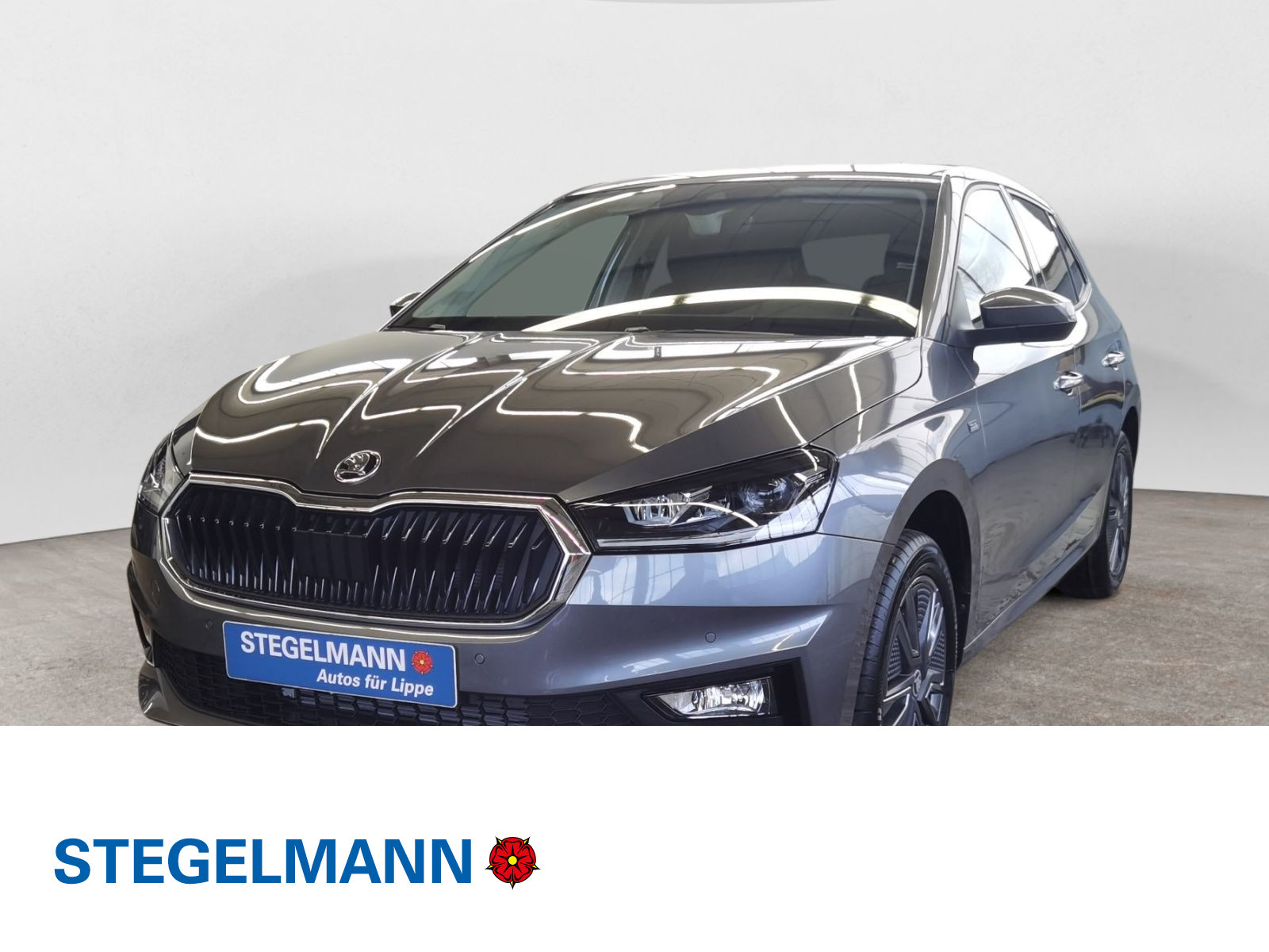 diagonal-frontansicht-aussen