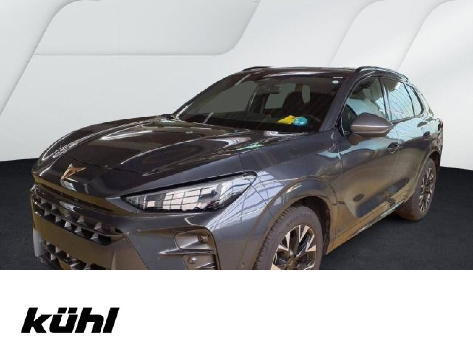 diagonal-frontansicht-aussen