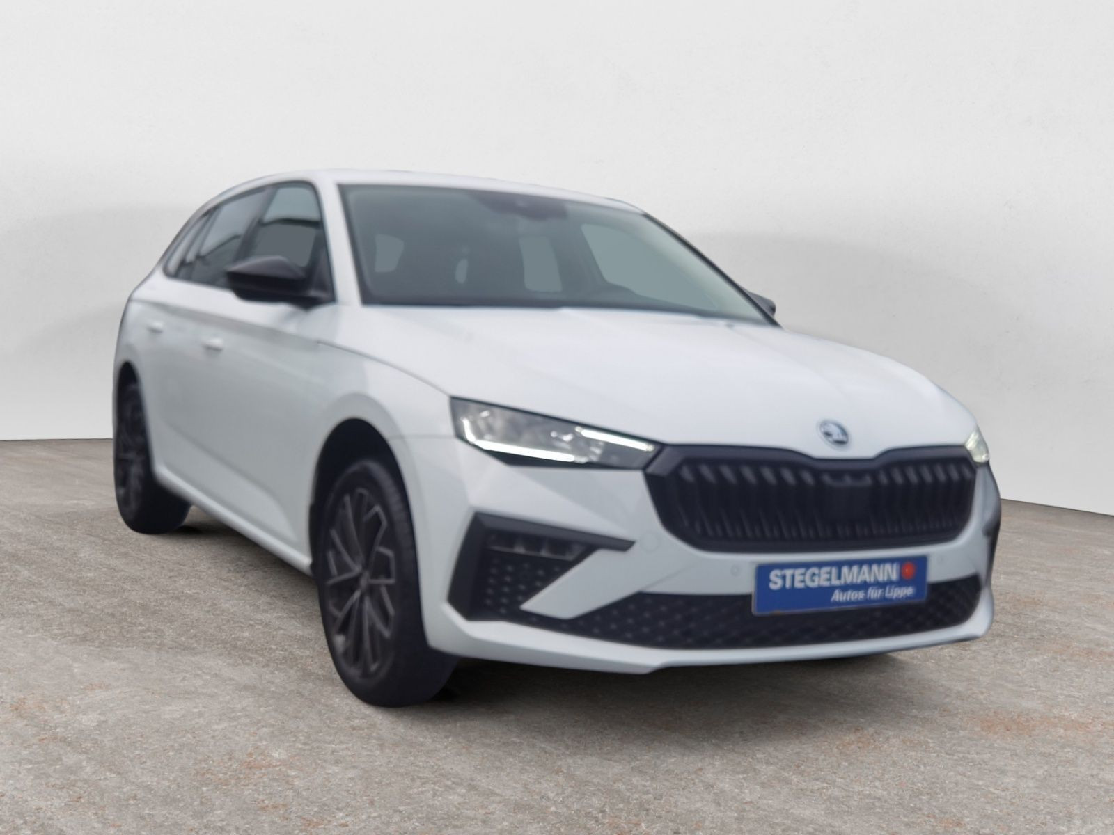 diagonal-frontansicht-aussen