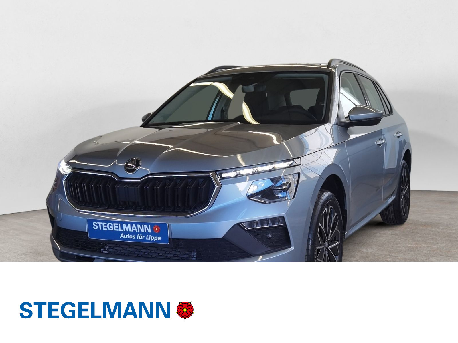 diagonal-frontansicht-aussen