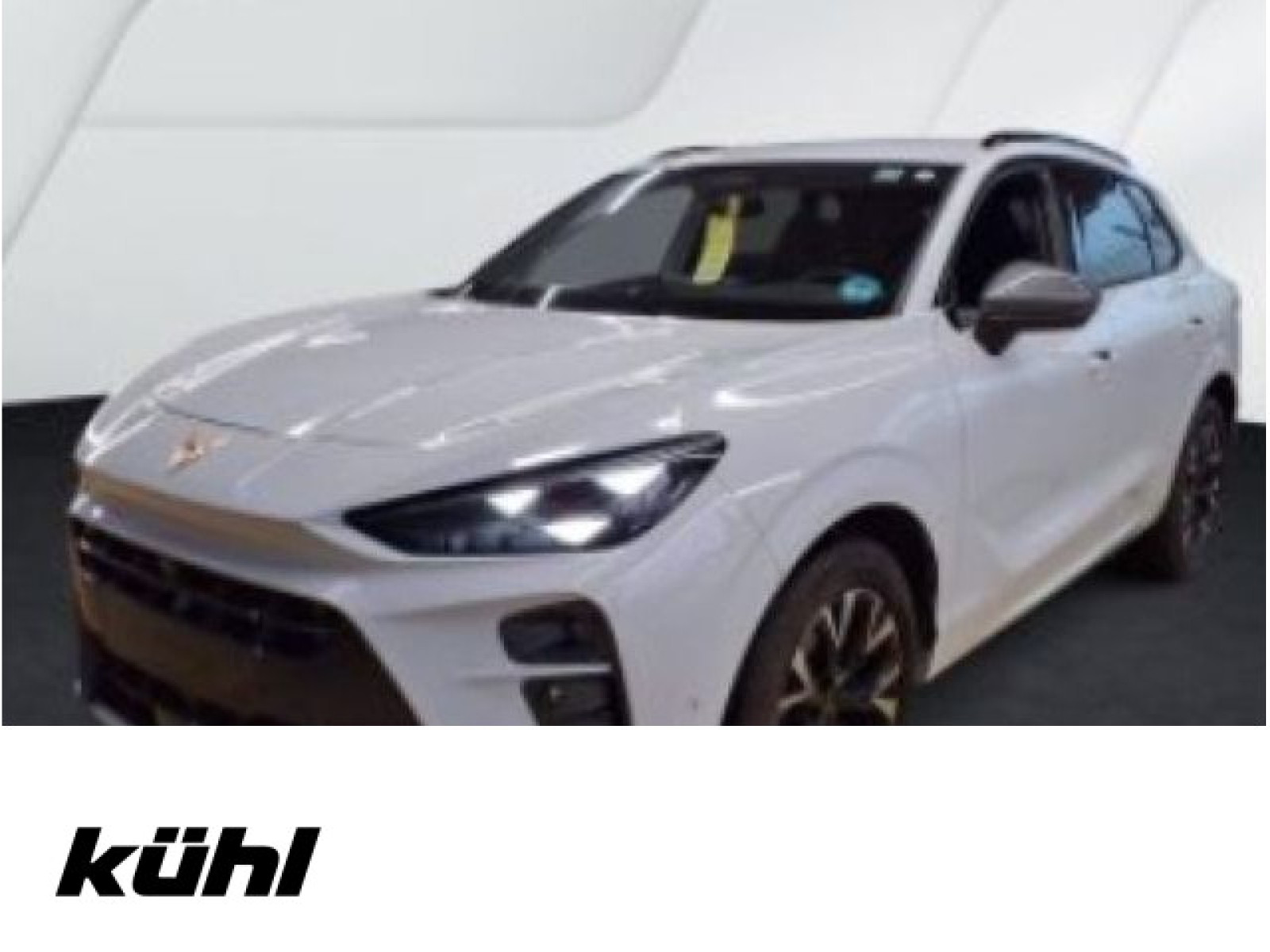 diagonal-frontansicht-aussen