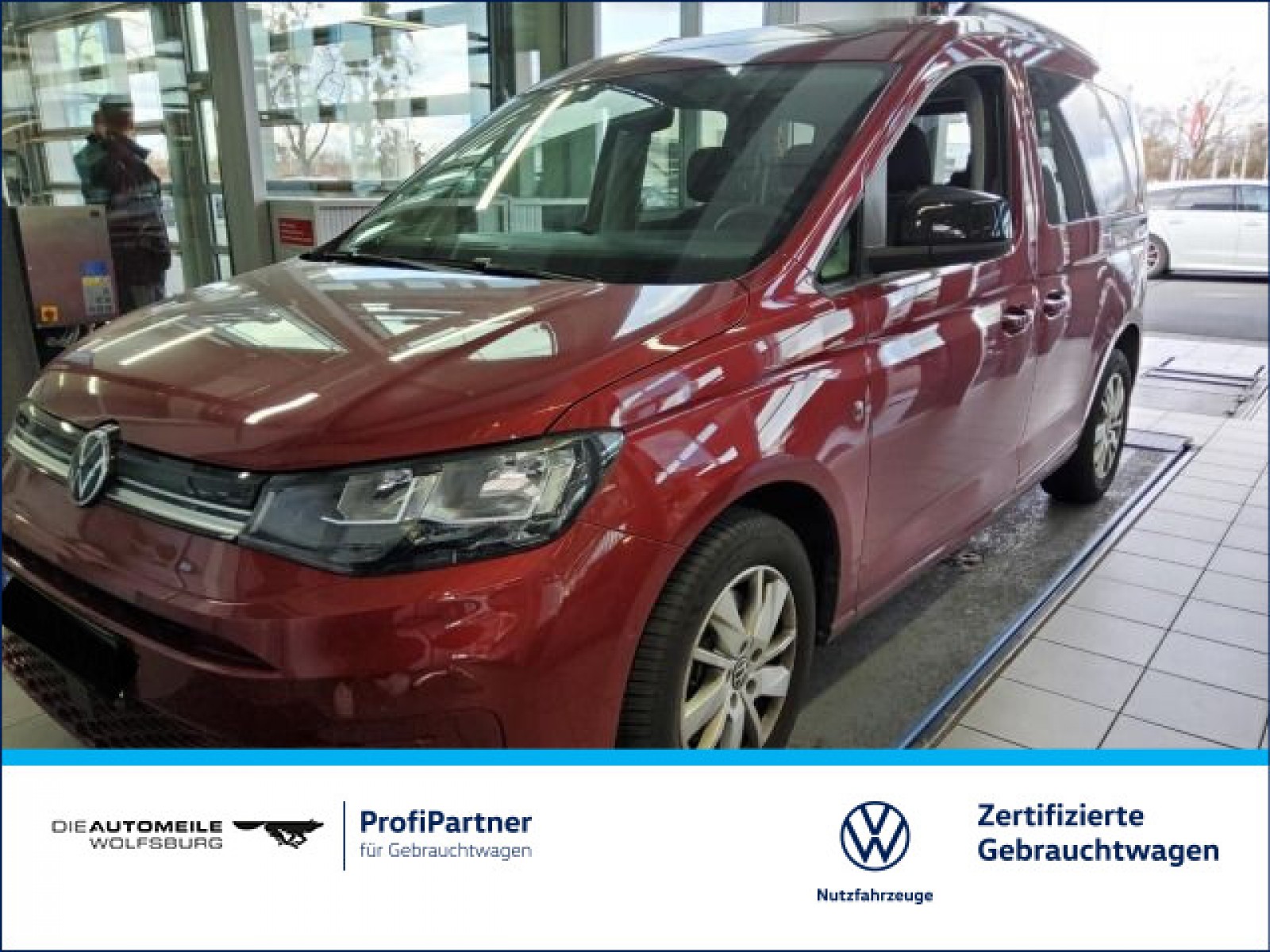 Caddy 1.5 TSI Life Pano/Tempo/Sitzhzg